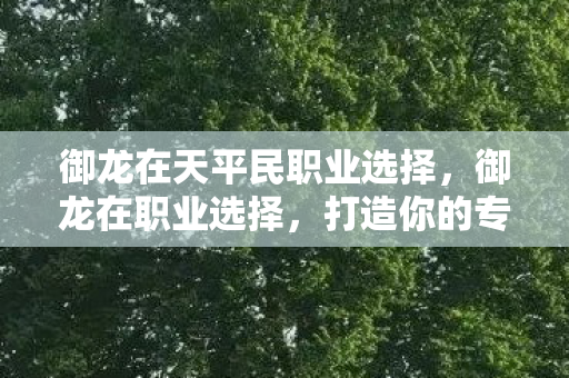 御龙在天平民职业选择,御龙在职业选择,打造你的专属传奇 御龙在天平民职业选择,御龙在职业选择,打造你的专属传奇