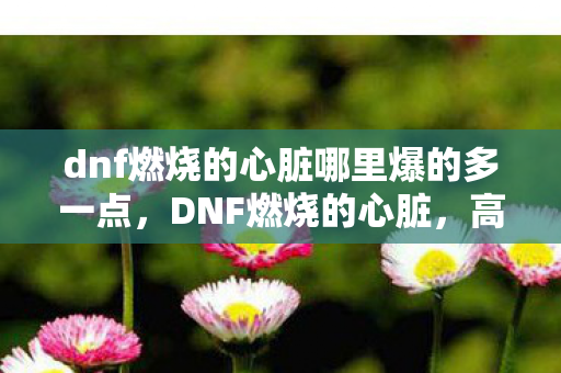 dnf燃烧的心脏哪里爆的多一点,DNF燃烧的心脏,高效获取途径大揭秘 dnf燃烧的心脏哪里爆的多一点,DNF燃烧的心脏,高效获取途径大揭秘
