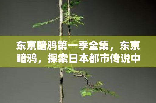 东京暗鸦第一季全集，东京暗鸦，探索日本都市传说中的神秘世界