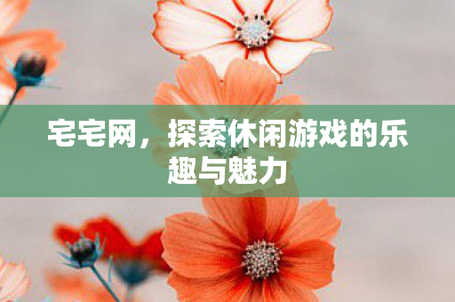 宅宅网，探索休闲游戏的乐趣与魅力