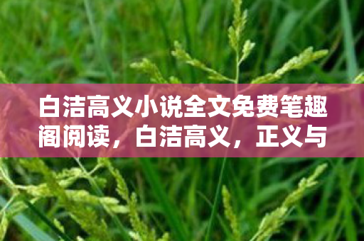 白洁高义小说全文免费笔趣阁阅读,白洁高义,正义与道德的抉择 白洁高义小说全文免费笔趣阁阅读,白洁高义,正义与道德的抉择