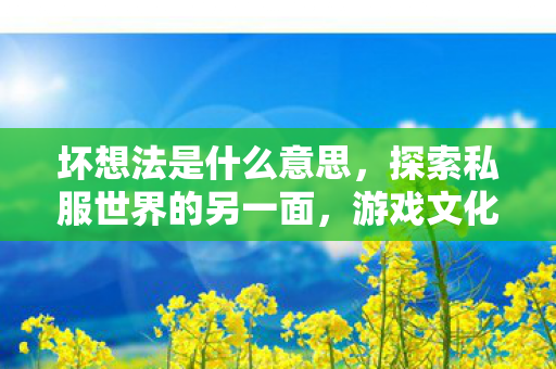 坏想法是什么意思，探索私服世界的另一面，游戏文化的另类诠释