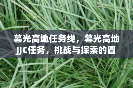 暮光高地任务线,暮光高地JJC任务,挑战与探索的冒险之旅 暮光高地任务线,暮光高地JJC任务,挑战与探索的冒险之旅