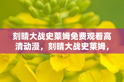 刻晴大战史莱姆免费观看高清动漫,刻晴大战史莱姆,探索原神世界的奇幻对决 刻晴大战史莱姆免费观看高清动漫,刻晴大战史莱姆,探索原神世界的奇幻对决