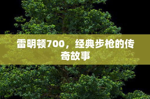 雷明顿700,经典步枪的传奇故事 雷明顿700,经典步枪的传奇故事