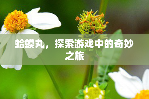 蛤蟆丸,探索游戏中的奇妙之旅 蛤蟆丸,探索游戏中的奇妙之旅