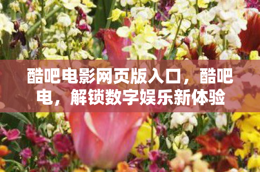 酷吧电影网页版入口,酷吧电,解锁数字娱乐新体验 酷吧电影网页版入口,酷吧电,解锁数字娱乐新体验