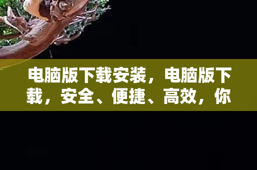 电脑版下载安装，电脑版下载，安全、便捷、高效，你的首选！