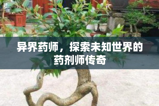 异界药师,探索未知世界的药剂师传奇 异界药师,探索未知世界的药剂师传奇