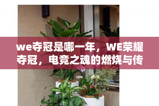 we夺冠是哪一年,WE荣耀夺冠,电竞之魂的燃烧与传承 we夺冠是哪一年,WE荣耀夺冠,电竞之魂的燃烧与传承