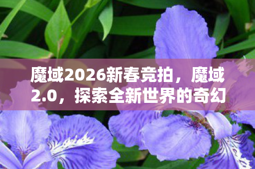 魔域2026新春竞拍,魔域2.0,探索全新世界的奇幻之旅 魔域2026新春竞拍,魔域2.0,探索全新世界的奇幻之旅