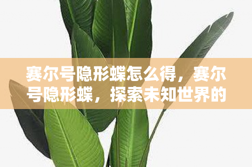 赛尔号隐形蝶怎么得，赛尔号隐形蝶，探索未知世界的神秘精灵