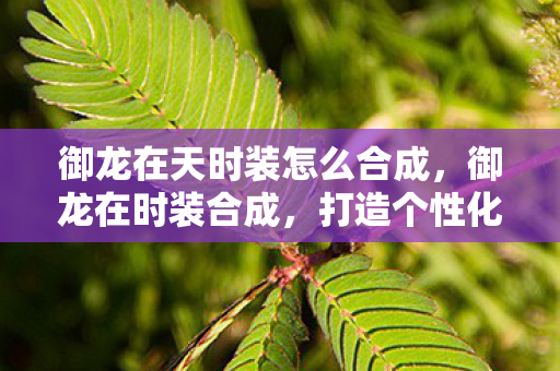 御龙在天时装怎么合成，御龙在时装合成，打造个性化角色，展现独特魅力