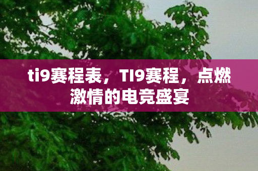 ti9赛程表，TI9赛程，点燃激情的电竞盛宴