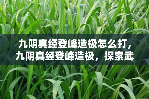 九阴真经登峰造极怎么打,九阴真经登峰造极,探索武侠世界的极致境界 九阴真经登峰造极怎么打,九阴真经登峰造极,探索武侠世界的极致境界