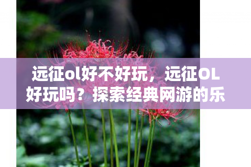 远征ol好不好玩,远征OL好玩吗?探索经典网游的乐趣与魅力 远征ol好不好玩,远征OL好玩吗?探索经典网游的乐趣与魅力