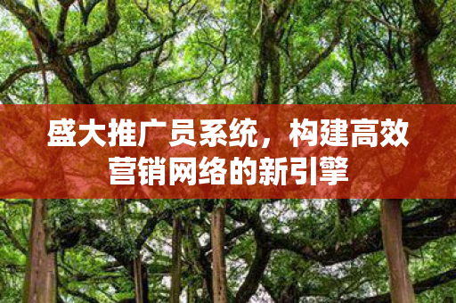 盛大推广员系统,构建高效营销网络的新引擎 盛大推广员系统,构建高效营销网络的新引擎