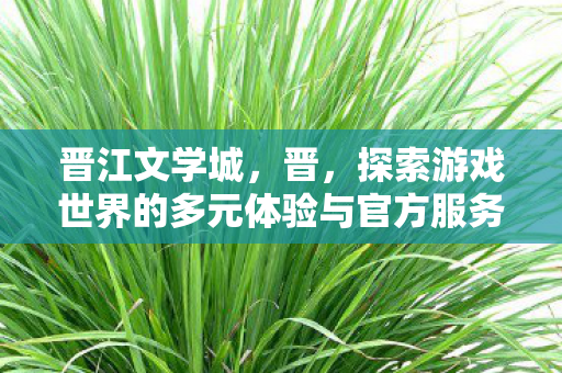 晋江文学城,晋,探索游戏世界的多元体验与官方服务的独特价值 晋江文学城,晋,探索游戏世界的多元体验与官方服务的独特价值