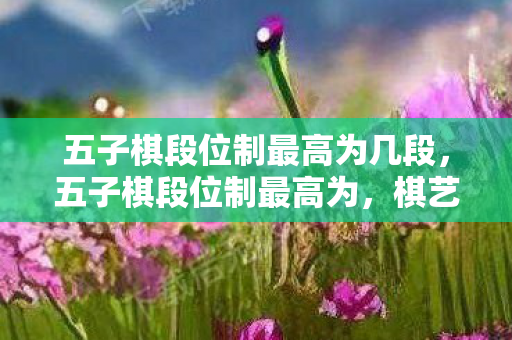 五子棋段位制最高为几段,五子棋段位制最高为,棋艺巅峰的荣耀象征 五子棋段位制最高为几段,五子棋段位制最高为,棋艺巅峰的荣耀象征