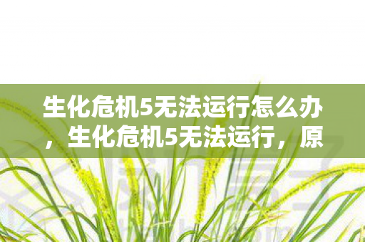 生化危机5无法运行怎么办,生化危机5无法运行,原因解析与解决方案 生化危机5无法运行怎么办,生化危机5无法运行,原因解析与解决方案