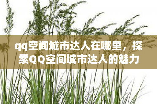 qq空间城市达人在哪里,探索QQ空间城市达人的魅力与影响 qq空间城市达人在哪里,探索QQ空间城市达人的魅力与影响