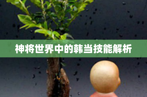 神将世界中的韩当技能解析 神将世界中的韩当技能解析