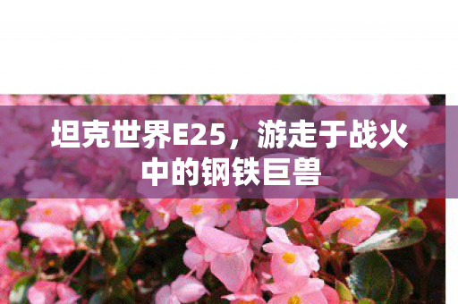 坦克世界E25,游走于战火中的钢铁巨兽 坦克世界E25,游走于战火中的钢铁巨兽