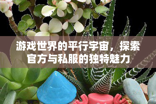 游戏世界的平行宇宙,探索官方与私服的独特魅力 游戏世界的平行宇宙,探索官方与私服的独特魅力
