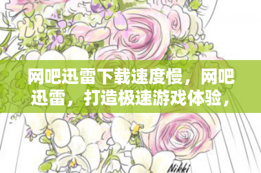 网吧迅雷下载速度慢,网吧迅雷,打造极速游戏体验,告别卡顿与等待 网吧迅雷下载速度慢,网吧迅雷,打造极速游戏体验,告别卡顿与等待