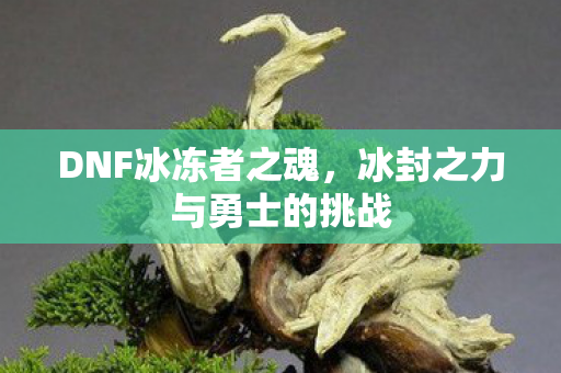 DNF冰冻者之魂,冰封之力与勇士的挑战 DNF冰冻者之魂,冰封之力与勇士的挑战