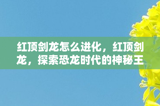 红顶剑龙怎么进化,红顶剑龙,探索恐龙时代的神秘王者 红顶剑龙怎么进化,红顶剑龙,探索恐龙时代的神秘王者