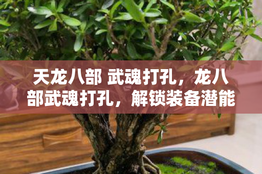 天龙八部 武魂打孔，龙八部武魂打孔，解锁装备潜能，打造无敌战力