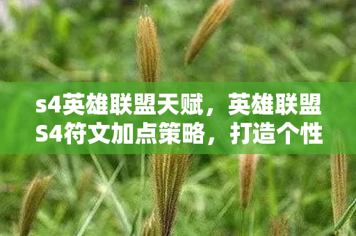 s4英雄联盟天赋，英雄联盟S4符文加点策略，打造个性化英雄