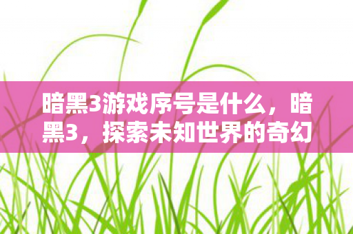 暗黑3游戏序号是什么，暗黑3，探索未知世界的奇幻冒险