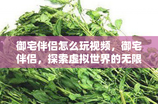 御宅伴侣怎么玩视频,御宅伴侣,探索虚拟世界的无限乐趣 御宅伴侣怎么玩视频,御宅伴侣,探索虚拟世界的无限乐趣