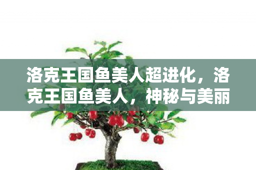 洛克王国鱼美人超进化,洛克王国鱼美人,神秘与美丽的传说 洛克王国鱼美人超进化,洛克王国鱼美人,神秘与美丽的传说