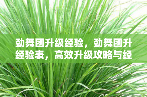 劲舞团升级经验，劲舞团升经验表，高效升级攻略与经验分享