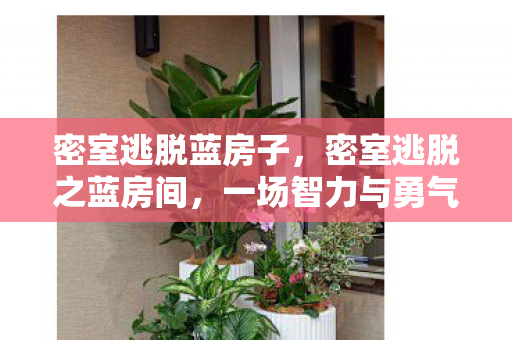 密室逃脱蓝房子，密室逃脱之蓝房间，一场智力与勇气的挑战