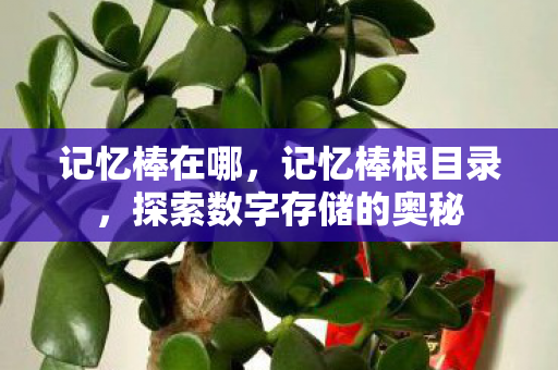记忆棒在哪,记忆棒根目录,探索数字存储的奥秘 记忆棒在哪,记忆棒根目录,探索数字存储的奥秘
