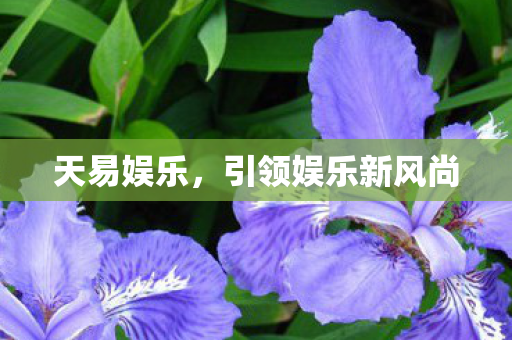 天易娱乐,引领娱乐新风尚 天易娱乐,引领娱乐新风尚