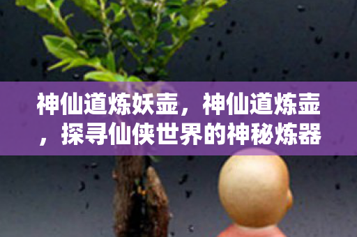 神仙道炼妖壶,神仙道炼壶,探寻仙侠世界的神秘炼器之道 神仙道炼妖壶,神仙道炼壶,探寻仙侠世界的神秘炼器之道