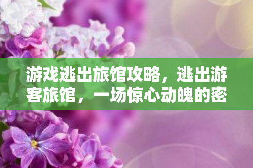 游戏逃出旅馆攻略,逃出游客旅馆,一场惊心动魄的密室逃脱冒险 游戏逃出旅馆攻略,逃出游客旅馆,一场惊心动魄的密室逃脱冒险