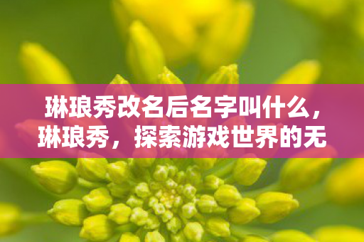 琳琅秀改名后名字叫什么,琳琅秀,探索游戏世界的无限可能 琳琅秀改名后名字叫什么,琳琅秀,探索游戏世界的无限可能