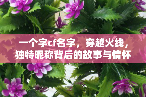 一个字cf名字,穿越火线,独特昵称背后的故事与情怀 一个字cf名字,穿越火线,独特昵称背后的故事与情怀