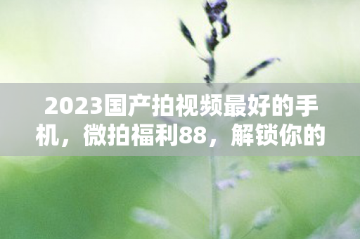 2023国产拍视频最好的手机,微拍福利88,解锁你的创意摄影之旅 2023国产拍视频最好的手机,微拍福利88,解锁你的创意摄影之旅