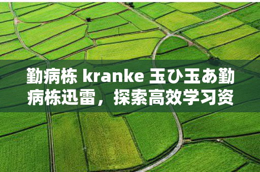 勤病栋 kranke 玉ひ玉あ勤病栋迅雷,探索高效学习资源的秘密 勤病栋 kranke 玉ひ玉あ勤病栋迅雷,探索高效学习资源的秘密