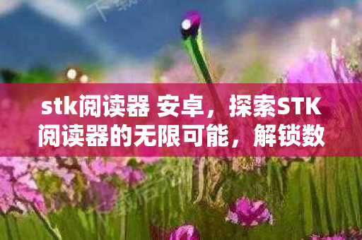 stk阅读器 安卓,探索STK阅读器的无限可能,解锁数字阅读的全新境界 stk阅读器 安卓,探索STK阅读器的无限可能,解锁数字阅读的全新境界