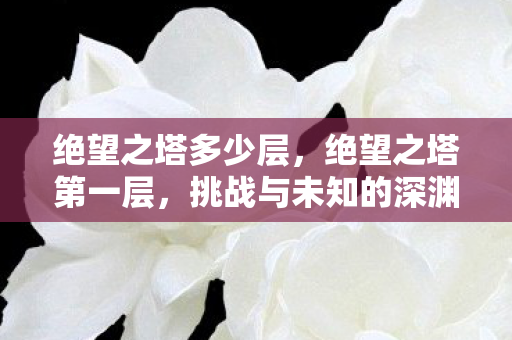 绝望之塔多少层,绝望之塔第一层,挑战与未知的深渊 绝望之塔多少层,绝望之塔第一层,挑战与未知的深渊