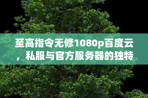 至高指令无修1080p百度云,私服与官方服务器的独特魅力,探索游戏世界的不同维度 至高指令无修1080p百度云,私服与官方服务器的独特魅力,探索游戏世界的不同维度
