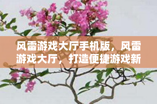 风雷游戏大厅手机版,风雷游戏大厅,打造便捷游戏新体验 风雷游戏大厅手机版,风雷游戏大厅,打造便捷游戏新体验